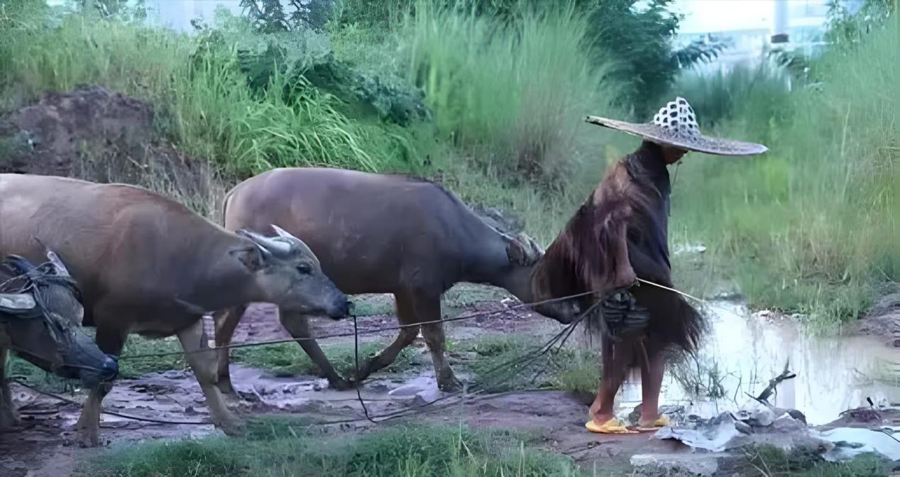 3467ae1629b1e145903b4f849115c6d