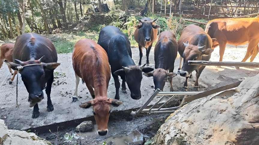 ffe1821bf08d09cf1acb47bea44bd8d