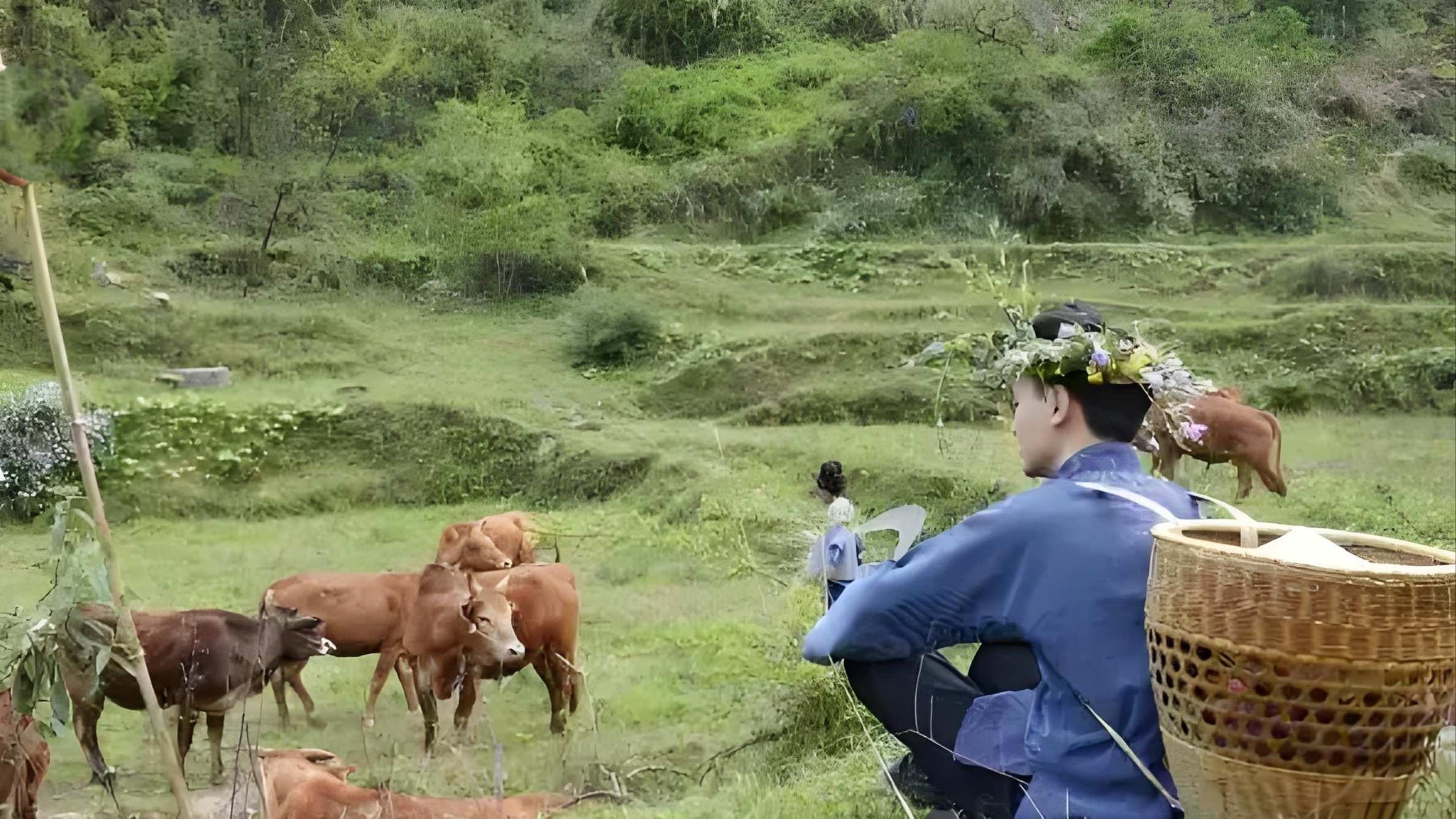 1834786d9a06aaeb8f111ae7417ebff