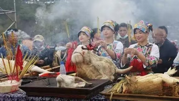 cb88bcfafbe14b829c48b7220eb8259