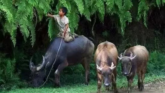 9237e51250c564e5e30f52573ea55b2