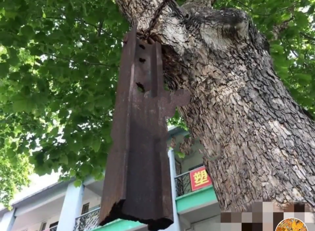 0dc0e6be3a82ce5b4341a6136faa46f8