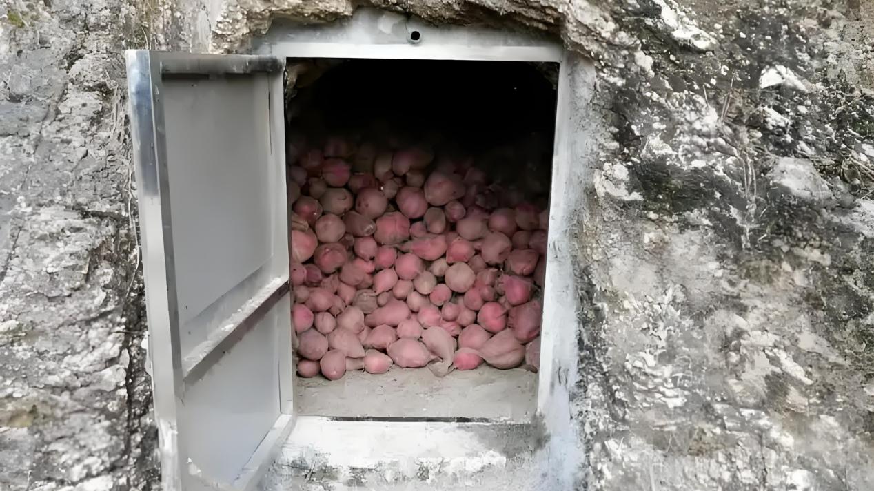 0927581c72f316c90ad86b5f81935e5