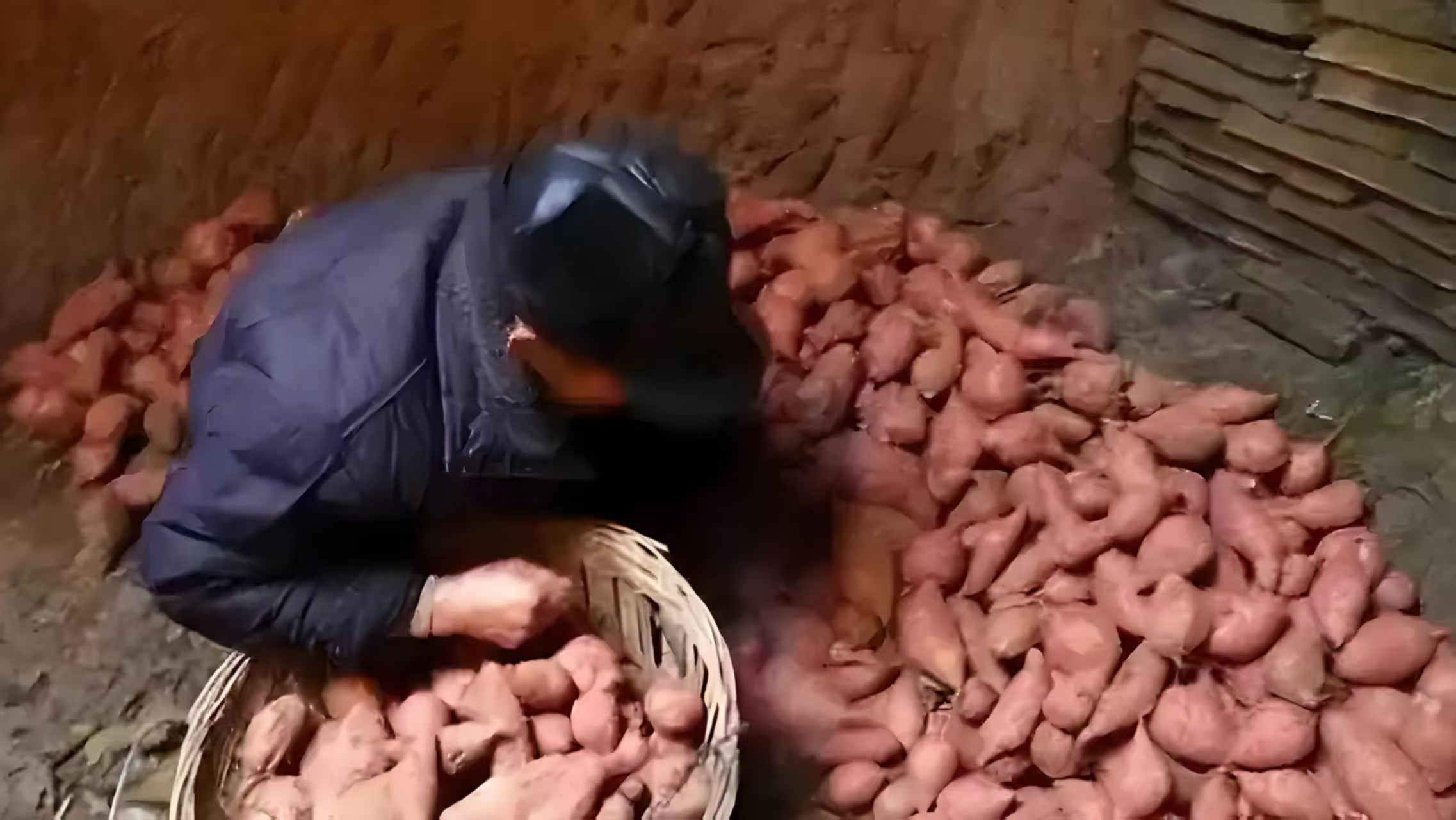 b5c4c1a2bcdcb7ed496abc8a8b99ad4