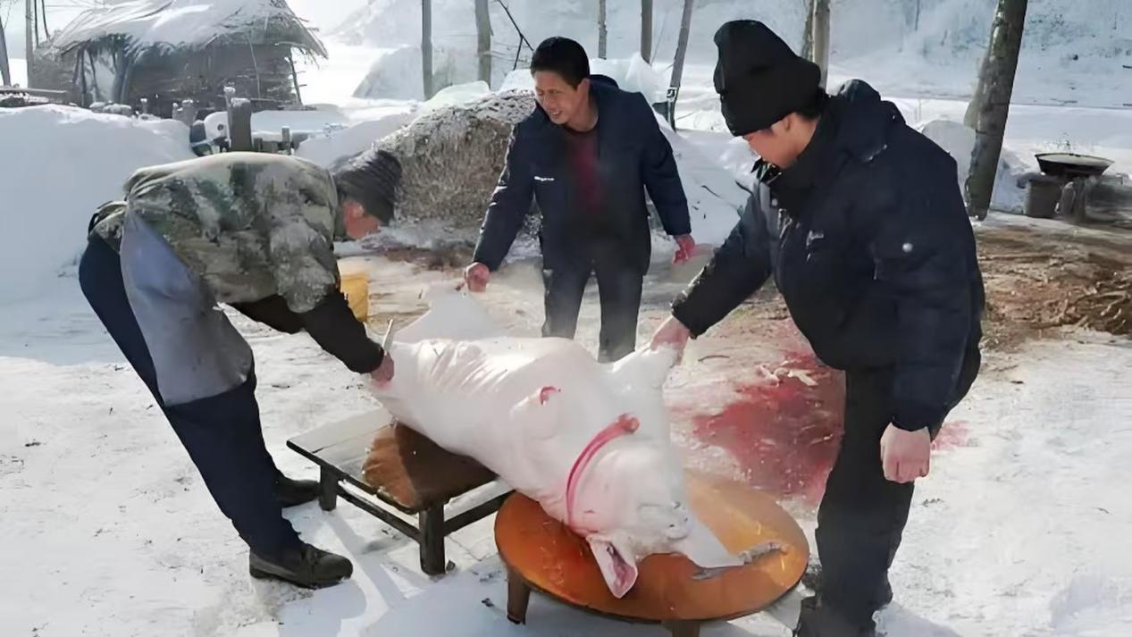 5052caab5f2398c79901e927dd47785