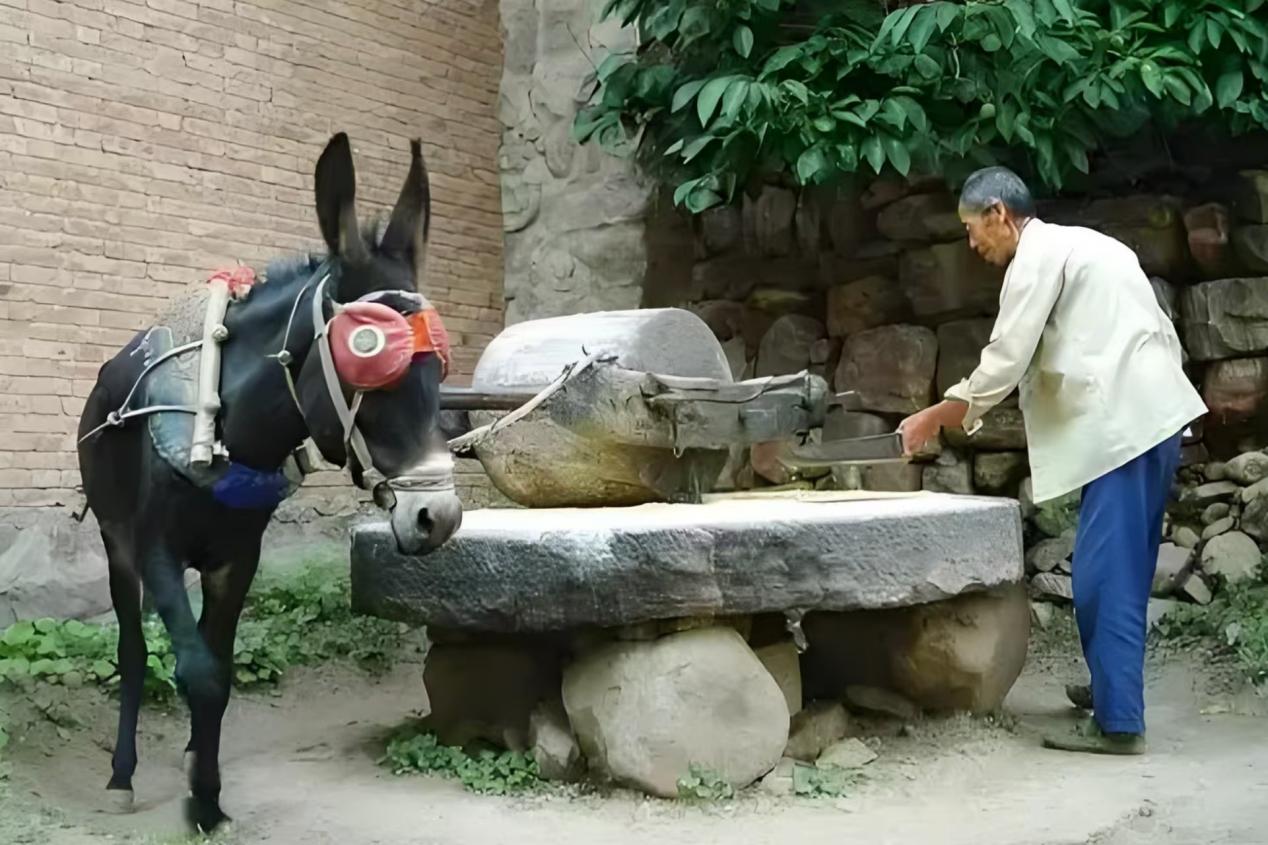 777f22602187922f8901e5ebc1ffe1d