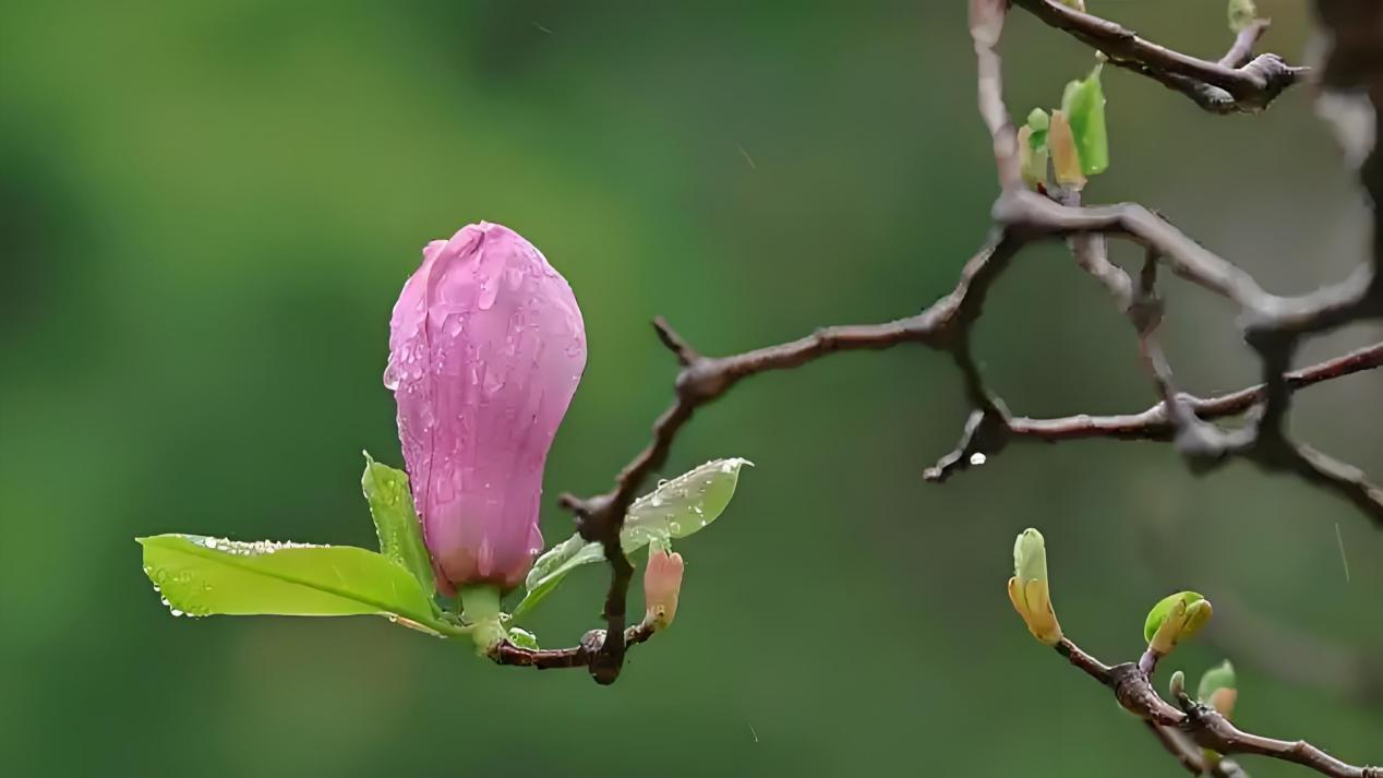 d2e67438b3bee2a016623b575204262